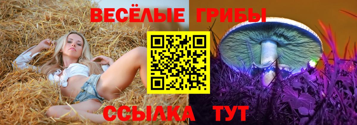 Галлюциногенные грибы Psilocybe  Вход с VPN  Зерноград 